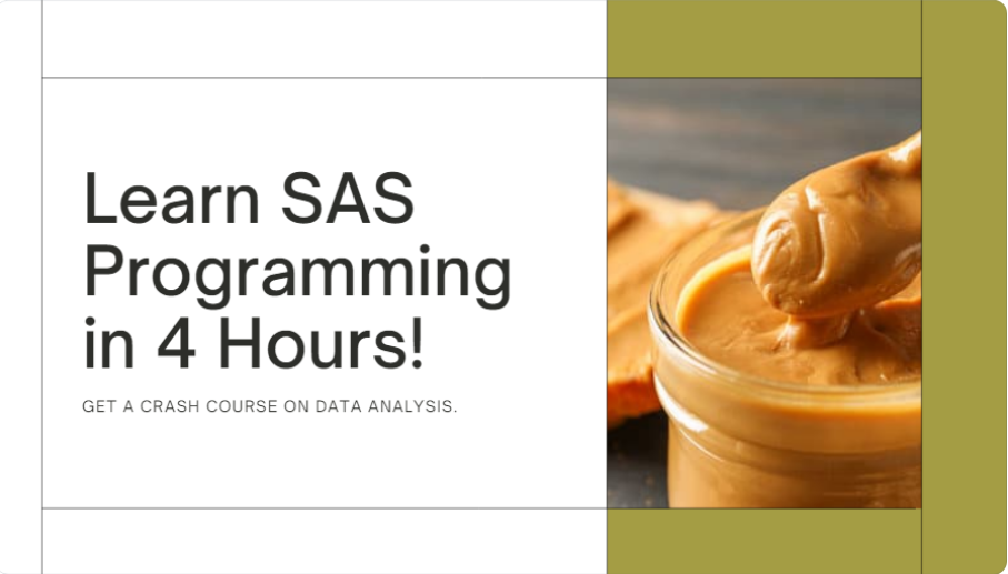 Crash Course : SAS Programming from Scratch with workout